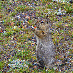 003. ������� 08.2014