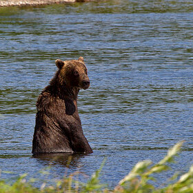 044. �� ������, ���� ������̈��!