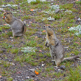 004. ������� 08.2014